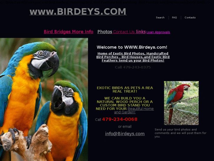 www.birdeys.com