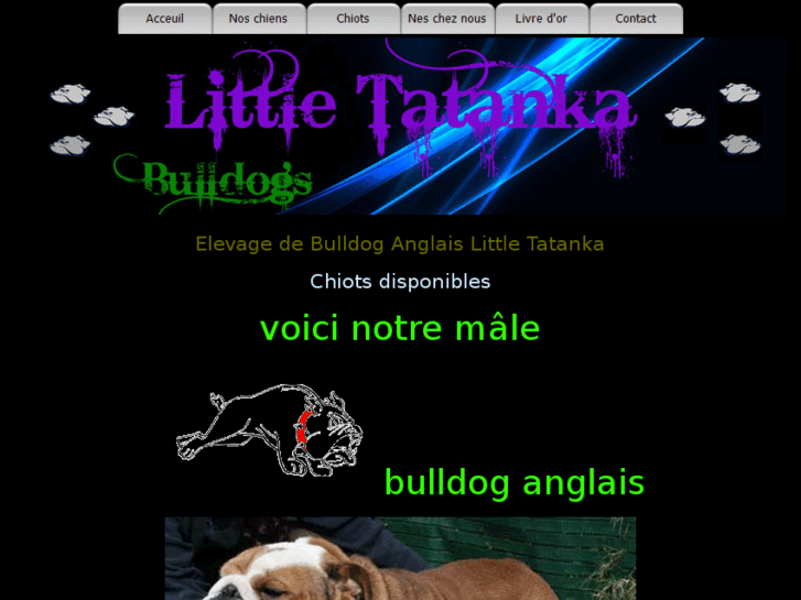 www.bulldog-anglais.com