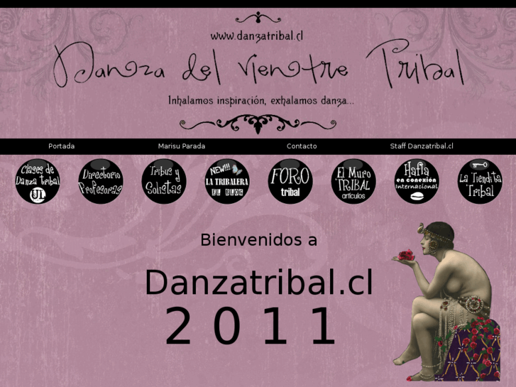 www.danzatribal.cl