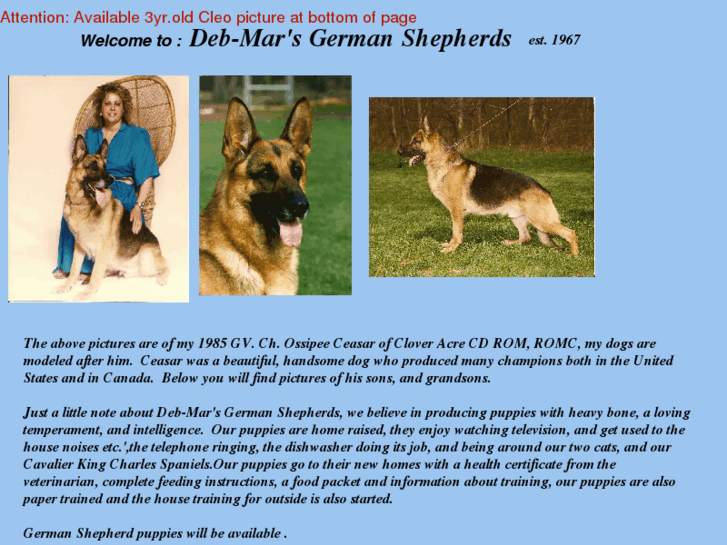 www.debmarsgermanshepherds.com