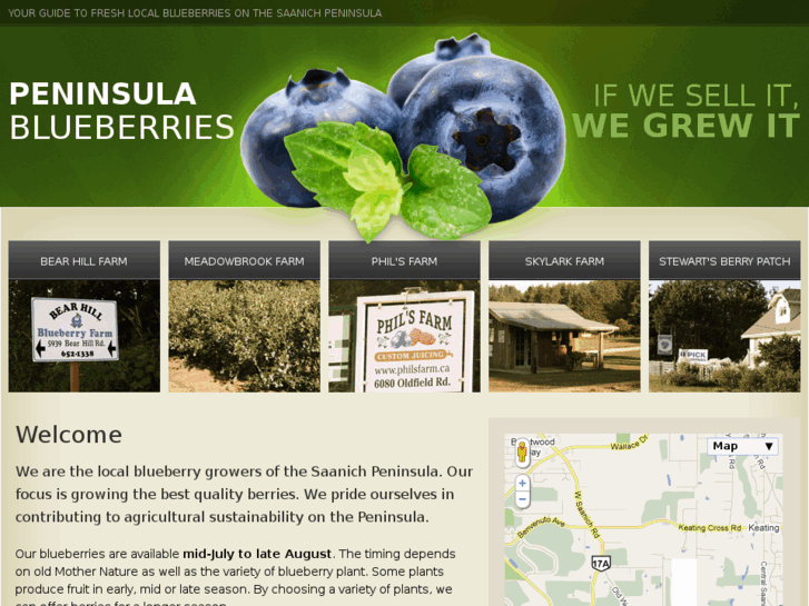 www.peninsulablueberries.com