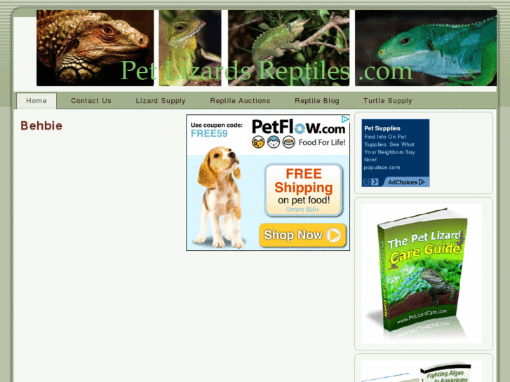 www.petlizardsreptiles.com