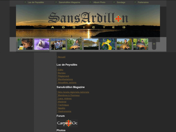 www.sansardillon.com