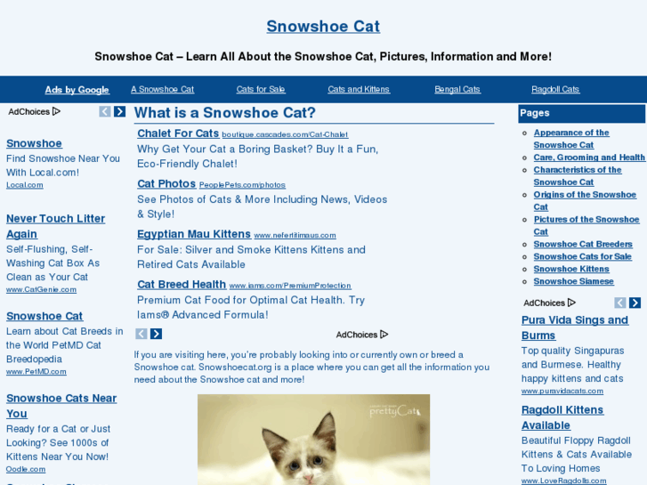 www.snowshoecat.org