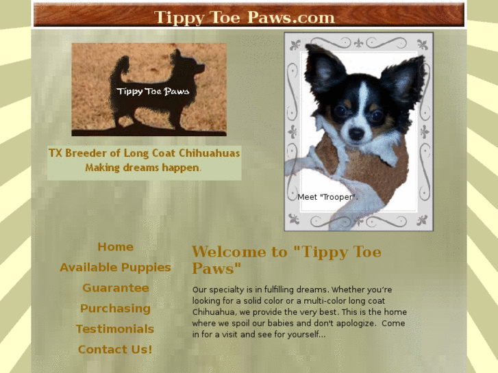 www.tippytoepaws.com