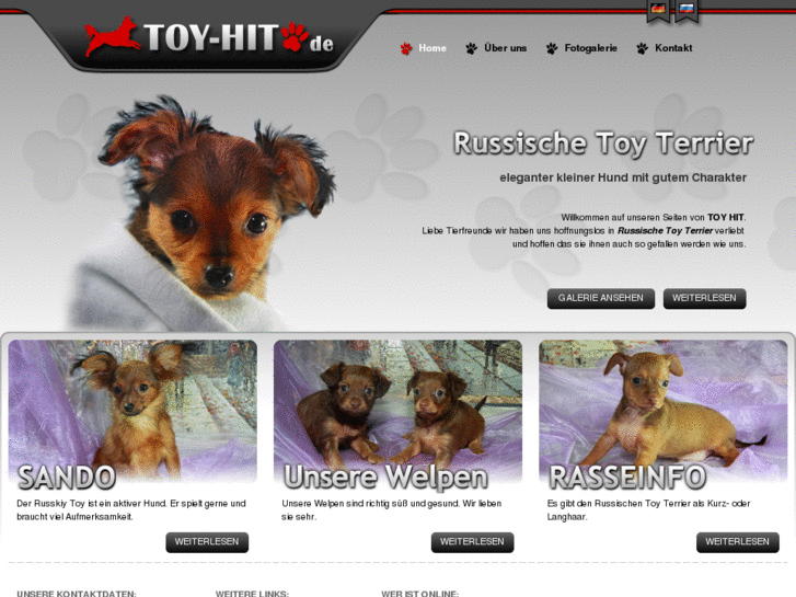 www.toy-hit.com