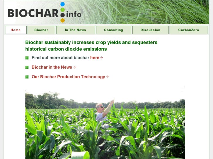 www.biochar.info