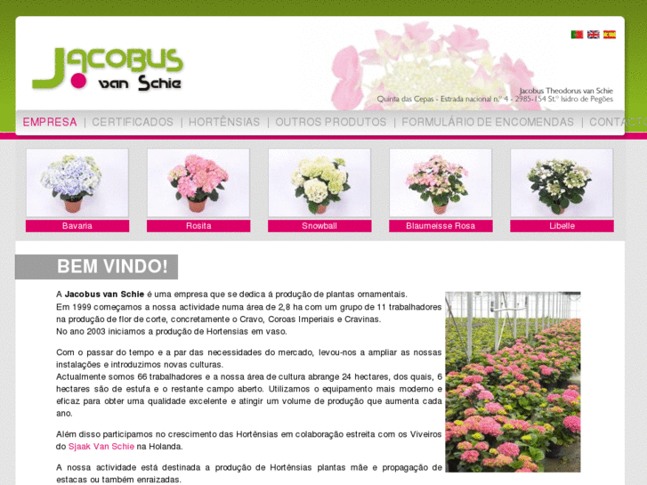 www.jacobusvanschie.com