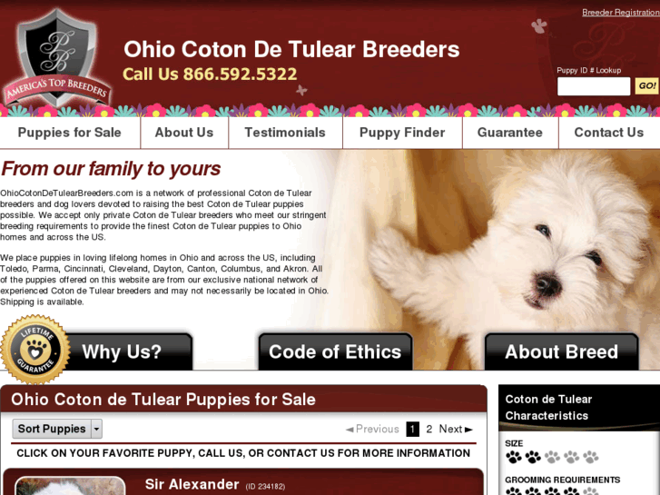 www.ohiocotondetulearbreeders.com