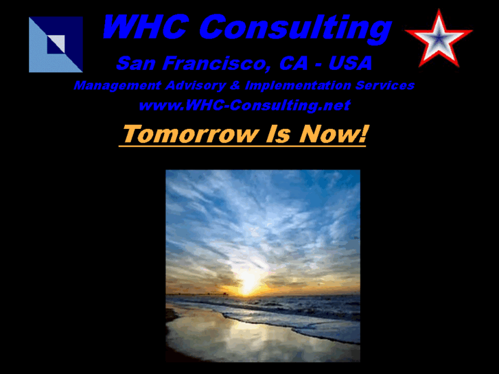 www.whc-consulting.net