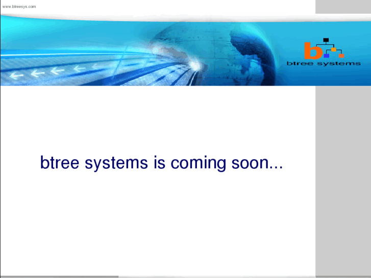 www.btreesystems.com