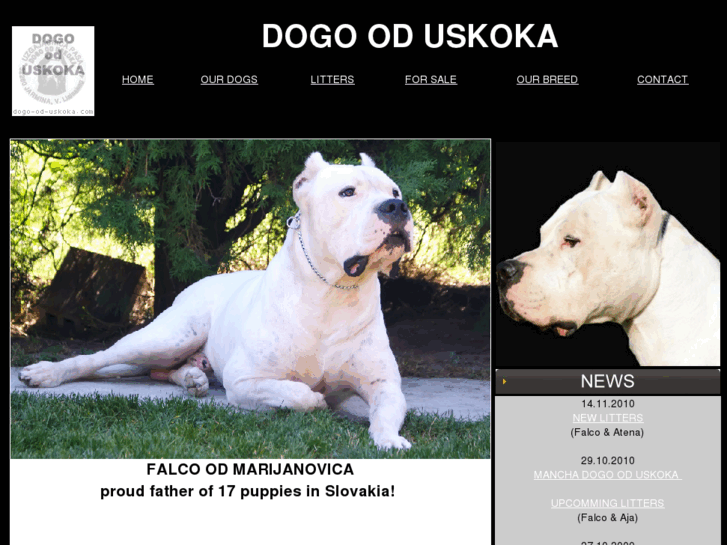 www.dogo-od-uskoka.com