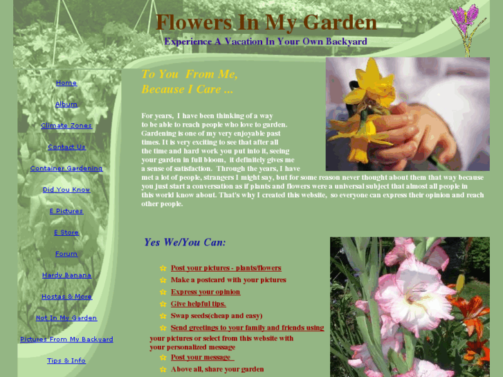 www.flowersinmygarden.com