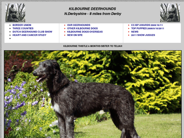 www.kilbournedeerhounds.com