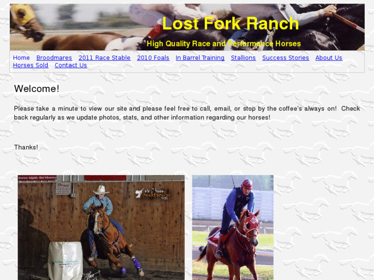 www.lostforkhorses.com