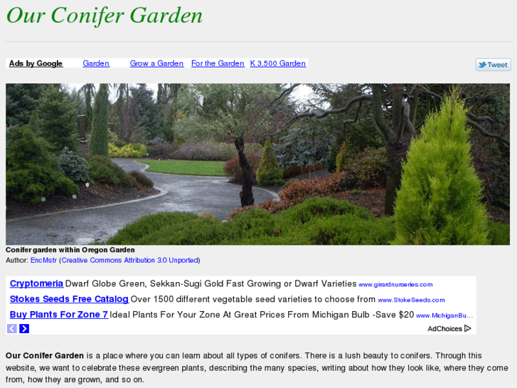 www.our-conifer-garden.com
