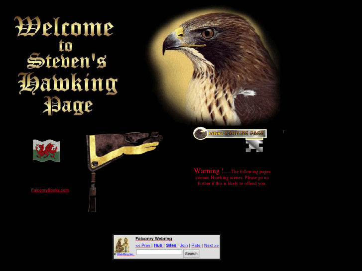 www.smjfalconry.com