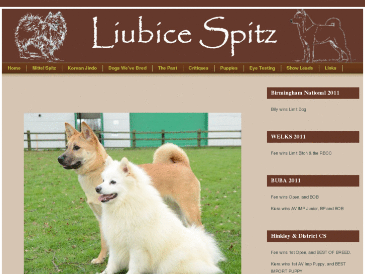 www.liubice.co.uk