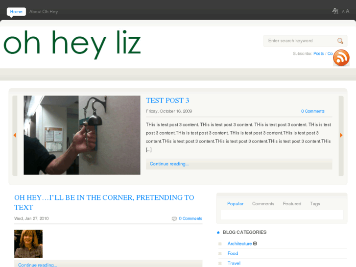 www.ohheyliz.com