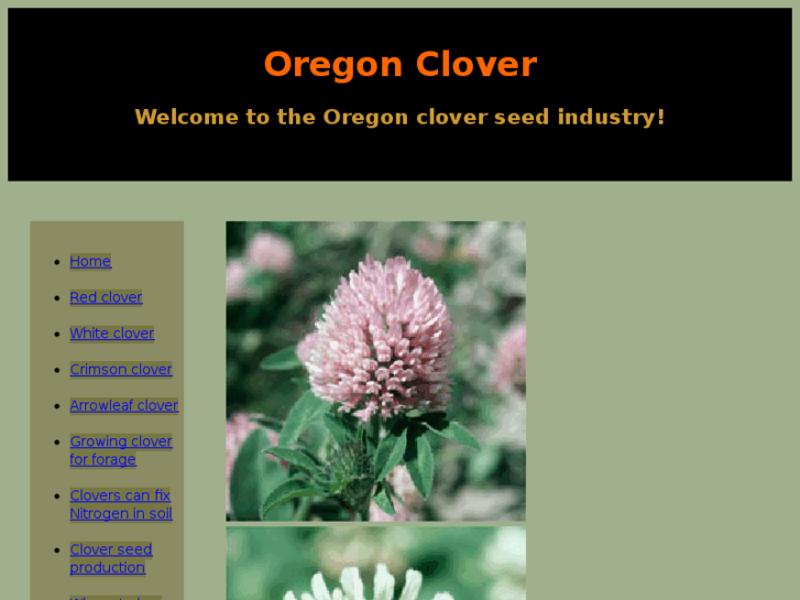 www.oregonclover.org