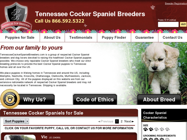 www.tennesseecockerspanielbreeders.com