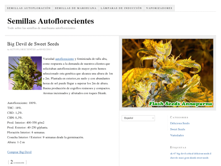 www.autofloweringseeds.net