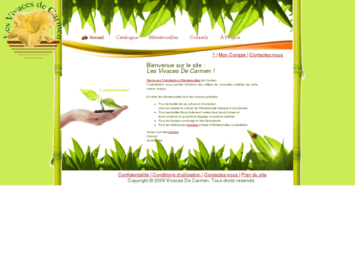 www.lesvivacesdecarmen.com