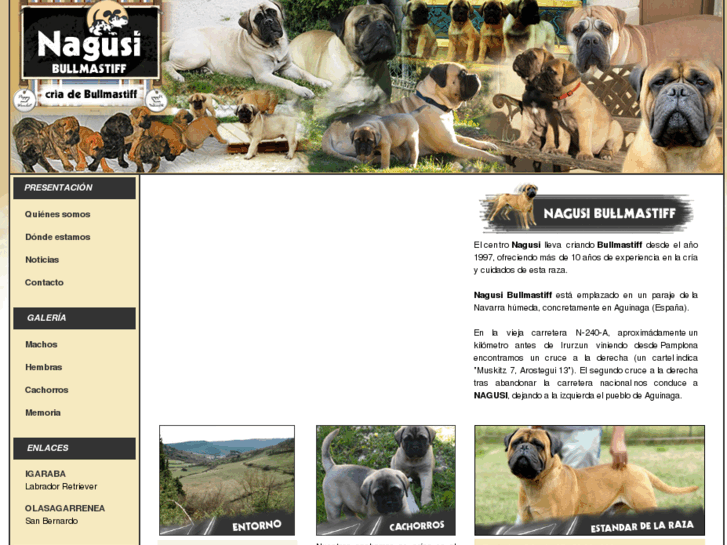 www.nagusi-bullmastiff.com