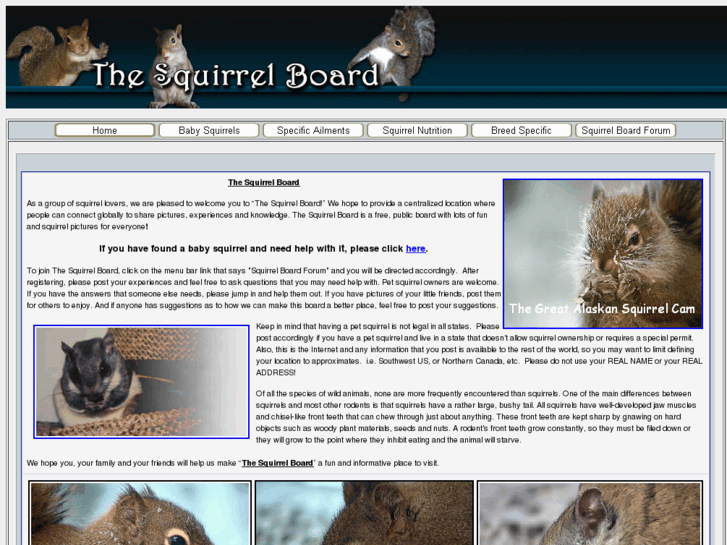 www.thesquirrelboard.com