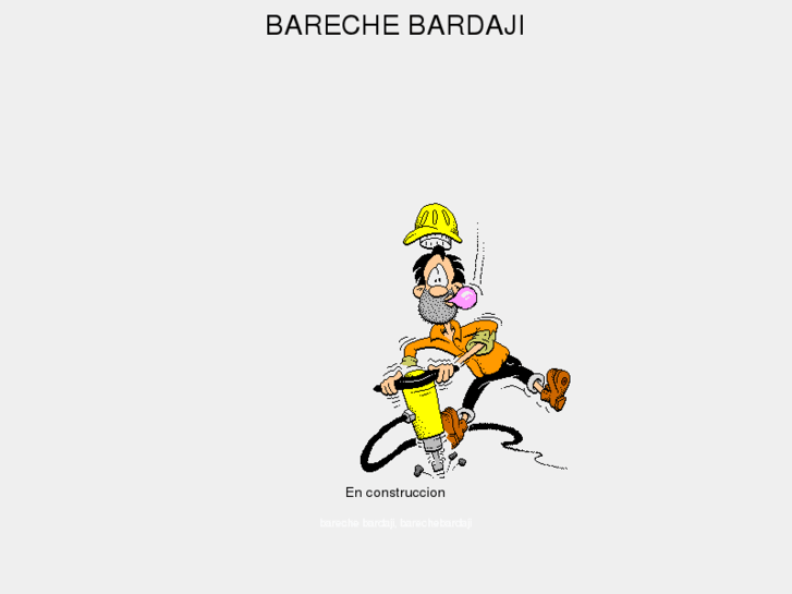 www.barechebardaji.es