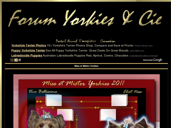 www.forum-yorkies.com