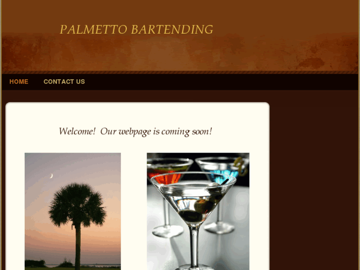 www.palmettobartending.com