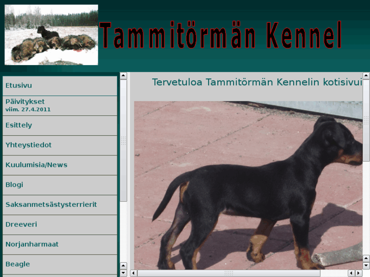 www.tammitormankennel.com