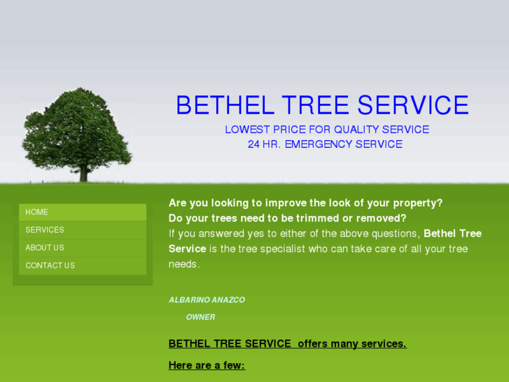 www.betheltreeserviceny.com