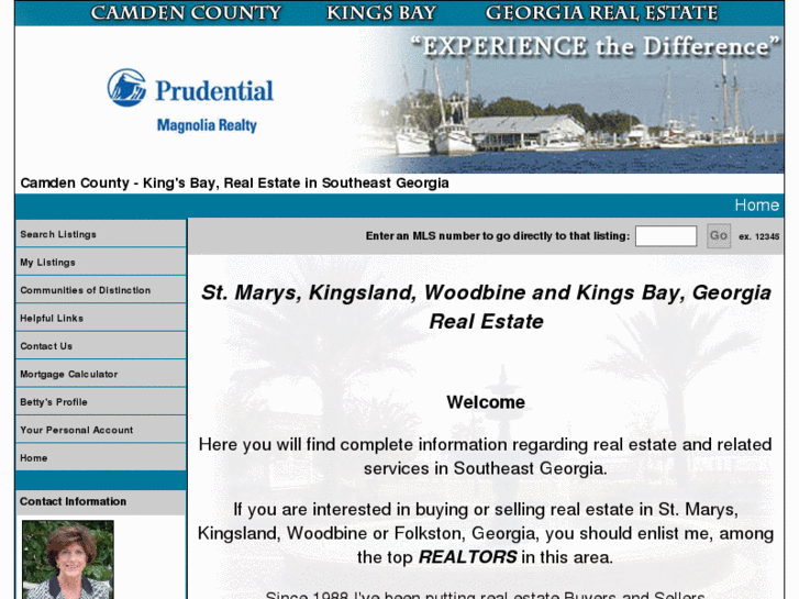 www.camdencounty-kingsbay.com