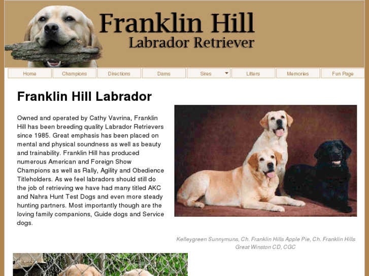 www.franklinhilllabrador.com