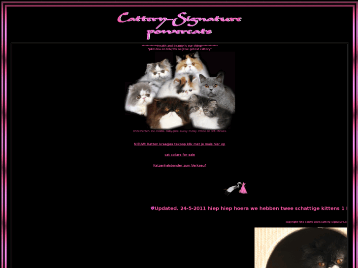 www.cattery-signature.com