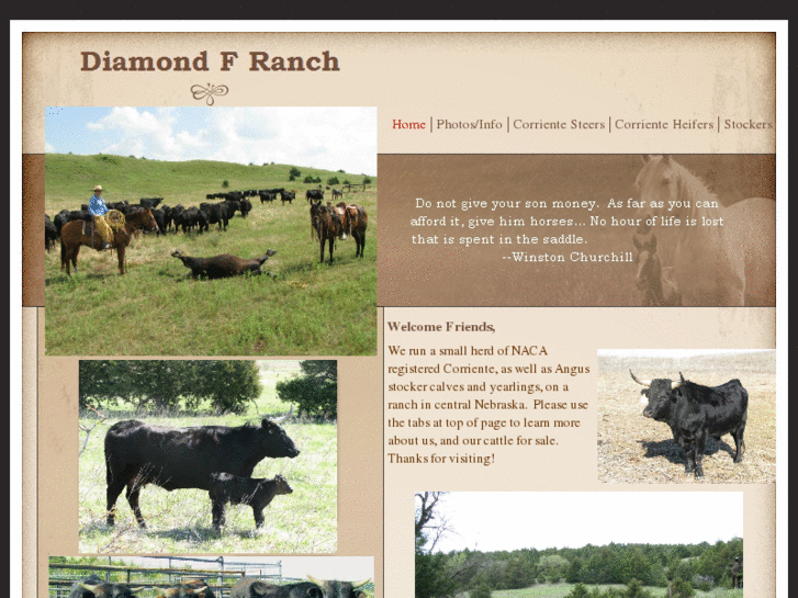 www.diamondfranch.com