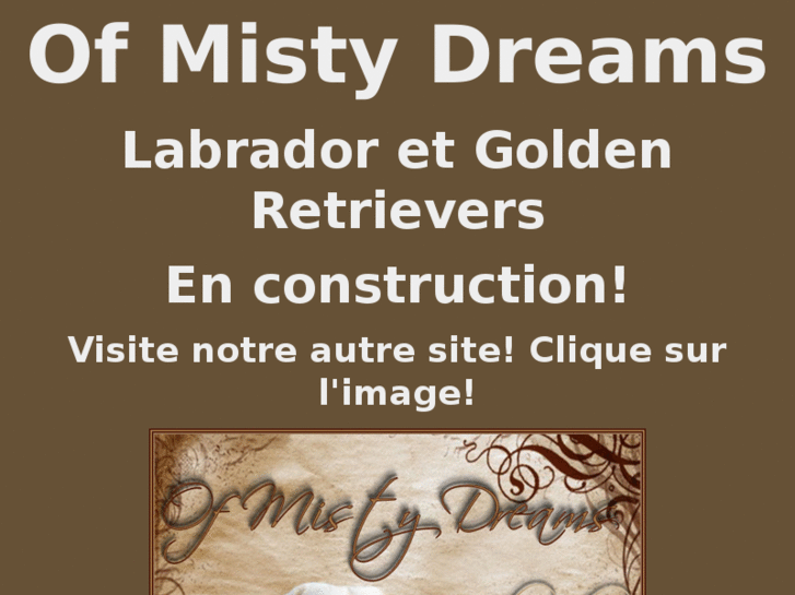 www.labradorsofmistydreams.com