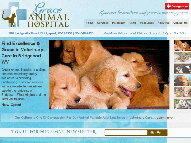 www.mygracevet.com