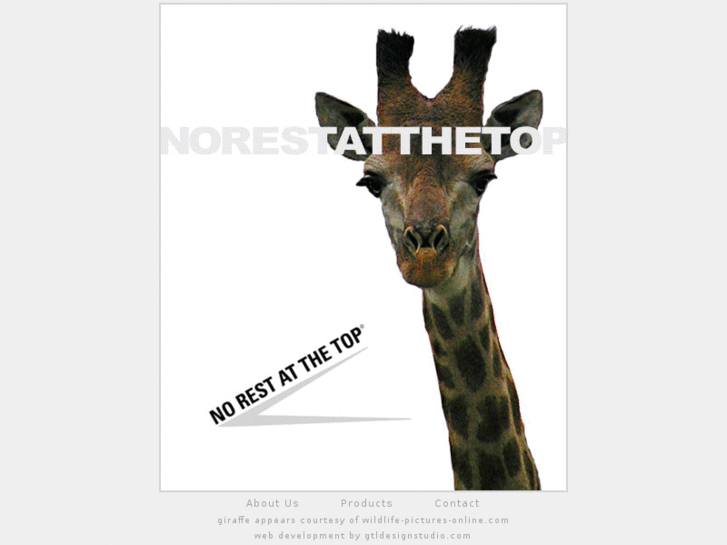 www.norestatthetop.com