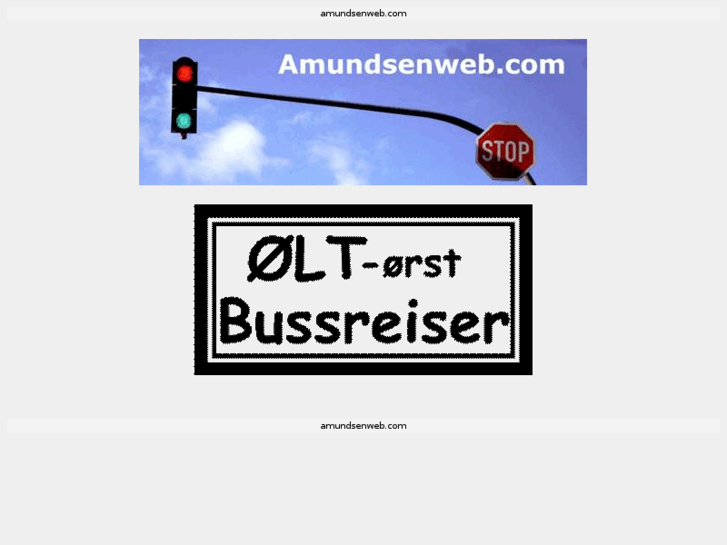 www.amundsenweb.com