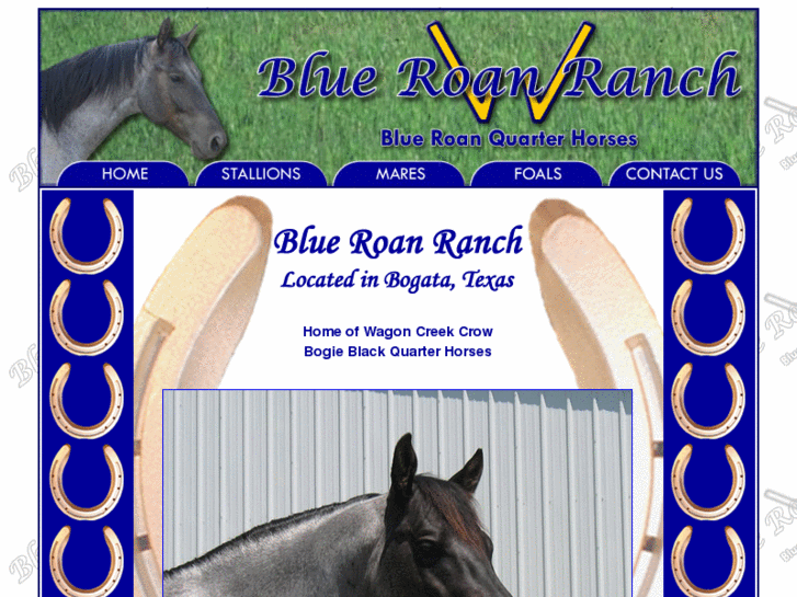 www.blueroanranch.com