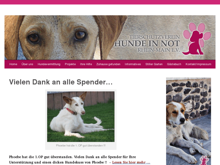 www.hundeinnot-rheinmain.de