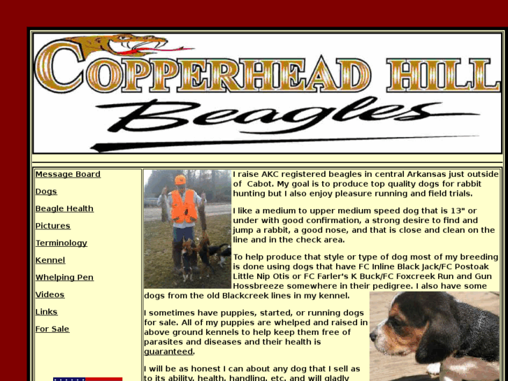 www.copperheadhillbeagles.com