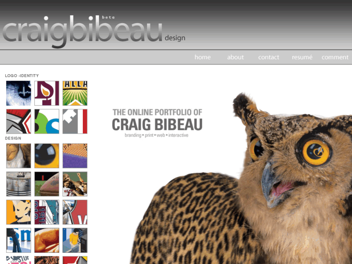 www.craigbibeau.com