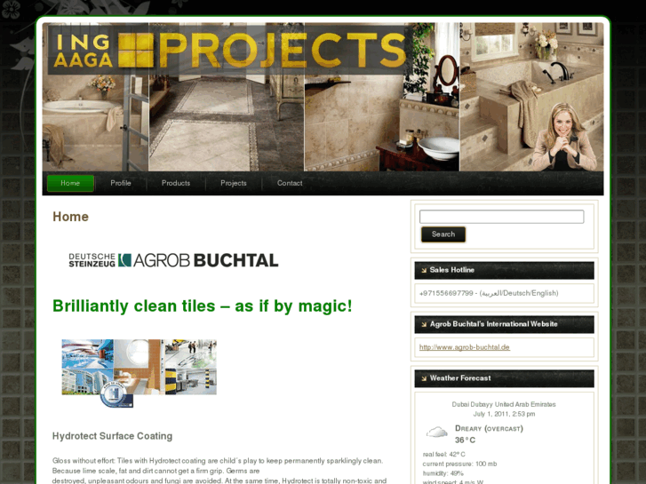www.ingprojects.com