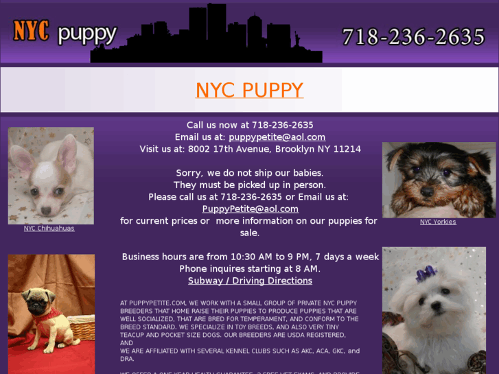 www.nycpuppy.com