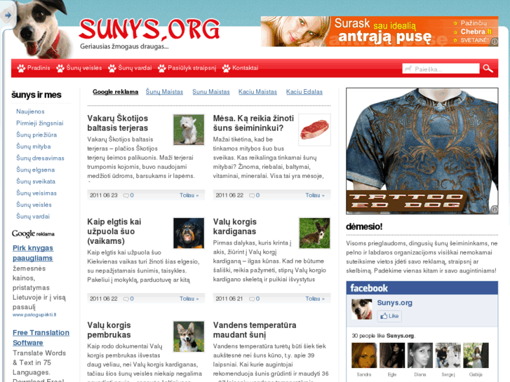 www.sunys.org