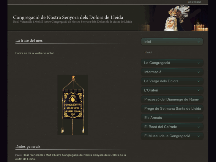www.vergedolorslleida.com